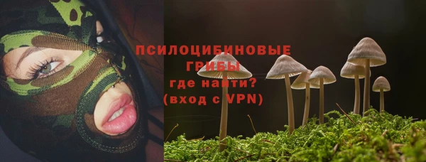меф Горняк